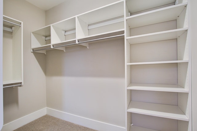 1363 Rivella Dr, Mount Pleasant, SC 29464 - walk in closet with carpet floors