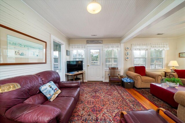 living room featuring hardwood / wood-style floors and a healthy amount of sunlight