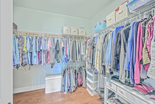 spacious closet with hardwood / wood-style flooring