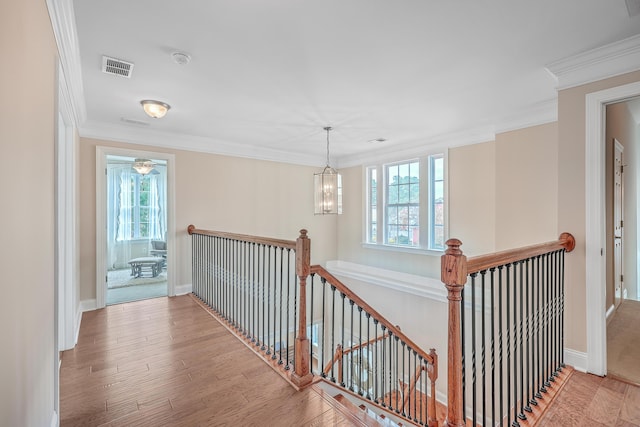 corridor featuring a chandelier, ornamental molding, a healthy amount of sunlight, and light wood-type flooring