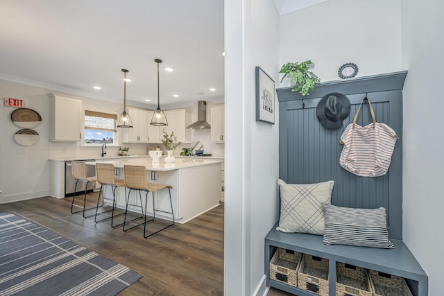 mudroom featuring dark hardwood / wood-style floors, ornamental molding, and sink