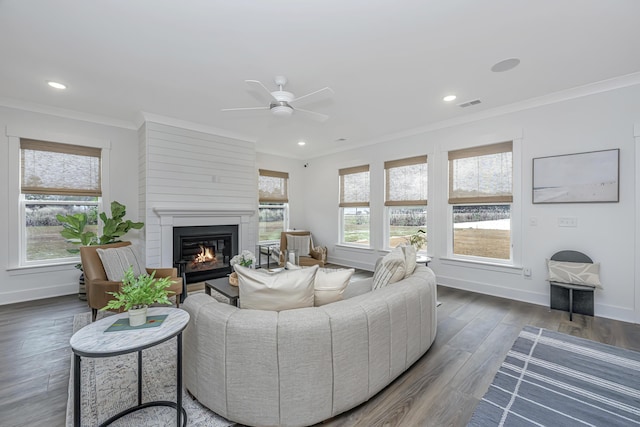 living room featuring ceiling fan, a large fireplace, dark hardwood / wood-style flooring, and crown molding