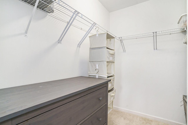 walk in closet featuring light carpet