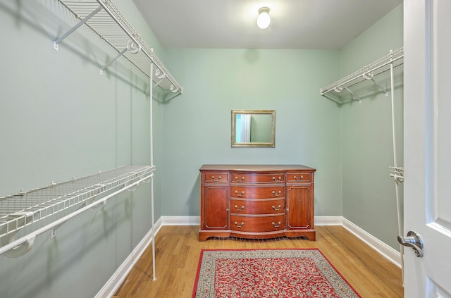 109 Waveney Cir, Goose Creek, SC 29445 - spacious closet featuring light wood-style floors