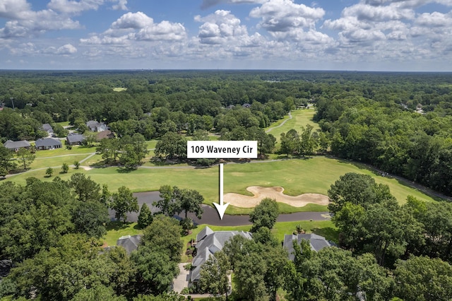 109 Waveney Cir, Goose Creek, SC 29445 - aerial view of residential area featuring a forest and a golf course