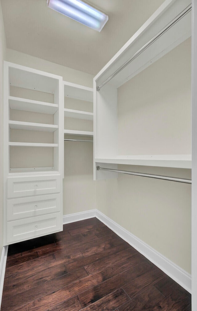 spacious closet featuring dark hardwood / wood-style flooring