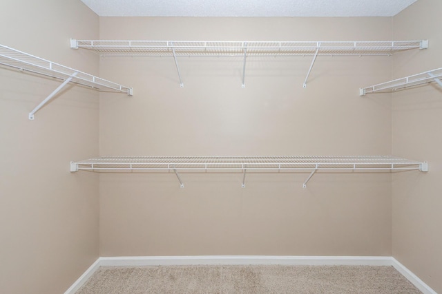102 Six Point Ct, Goose Creek, SC 29445 - spacious closet featuring carpet flooring