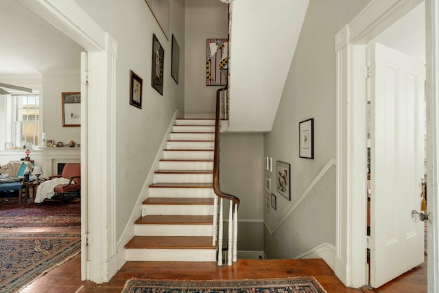staircase featuring wood finished floors