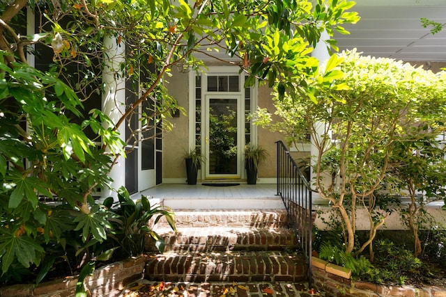 view of exterior entry with stucco siding
