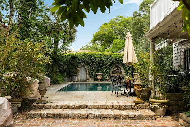 view of swimming pool featuring a patio and a fenced in pool