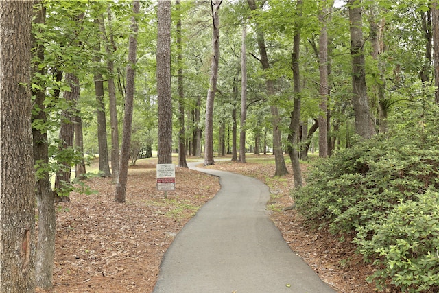 189 Fox Chase Dr, Goose Creek, SC 29445 - view of surrounding community