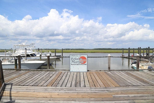 dock area with a water view