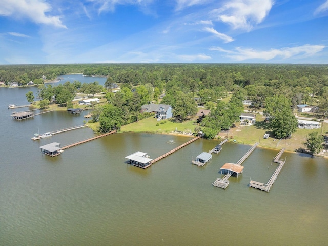 aerial view of a forest and a nearby body of water