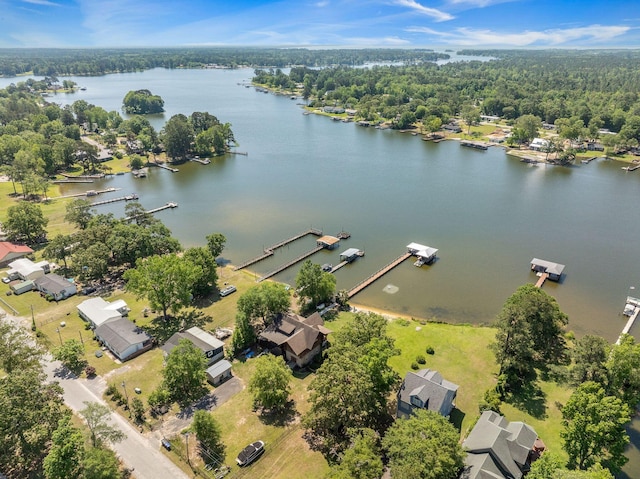 bird's eye view of a large body of water
