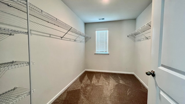 walk in closet featuring carpet