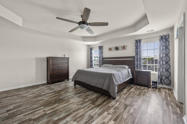 9009 Chato Ct, Summerville, SC 29483 - bedroom featuring a raised ceiling, dark wood-style flooring, multiple windows, and baseboards