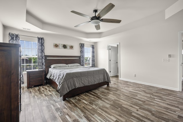 9009 Chato Ct, Summerville, SC 29483 - bedroom with a tray ceiling, wood finished floors, multiple windows, and baseboards