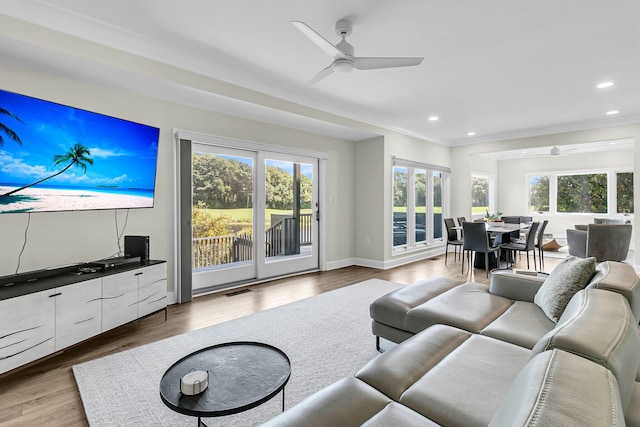 living room with ceiling fan, hardwood / wood-style floors, and crown molding