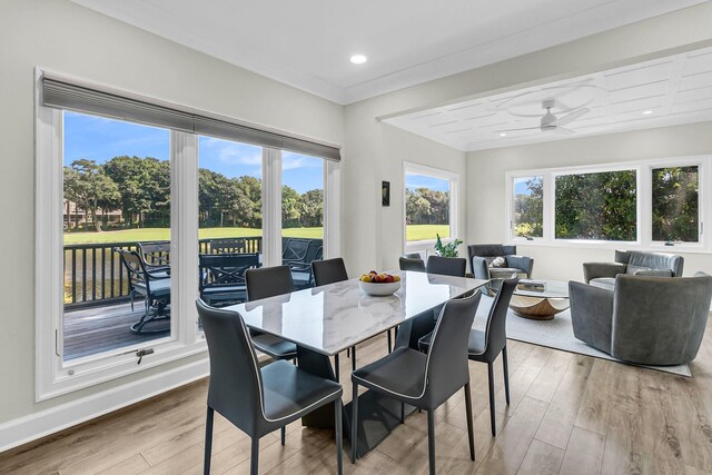 dining area with light wood-type flooring and ceiling fan