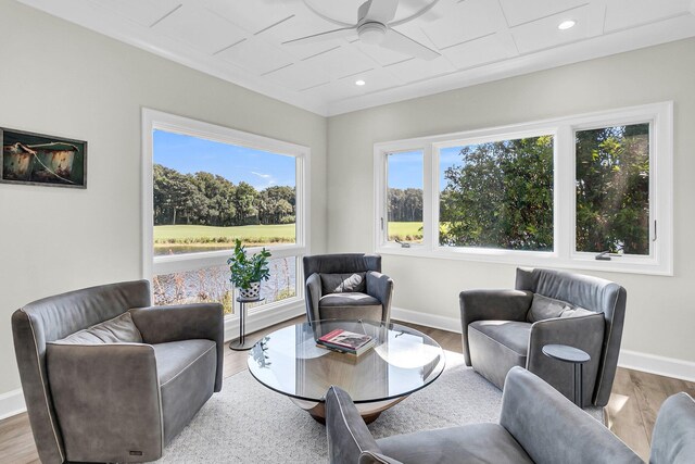 living room with wood-type flooring and ceiling fan