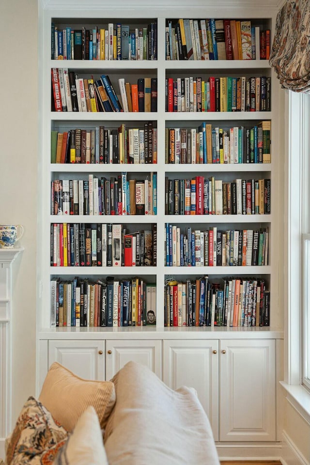 sitting room with bookshelves