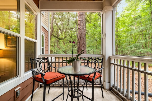 300 Bucksley Ln Unit 102, Charleston, SC 29492 - sunroom with healthy amount of natural light