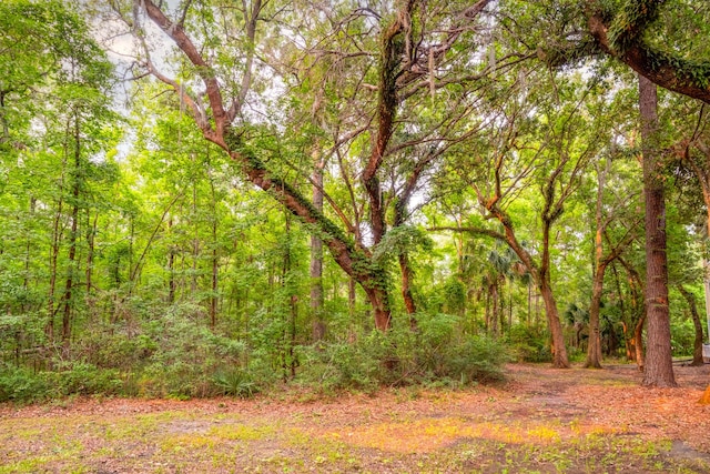 300 Bucksley Ln Unit 102, Charleston, SC 29492 - view of wooded area