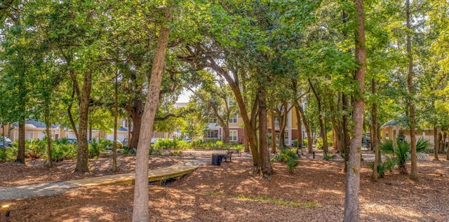300 Bucksley Ln Unit 102, Charleston, SC 29492 - view of yard