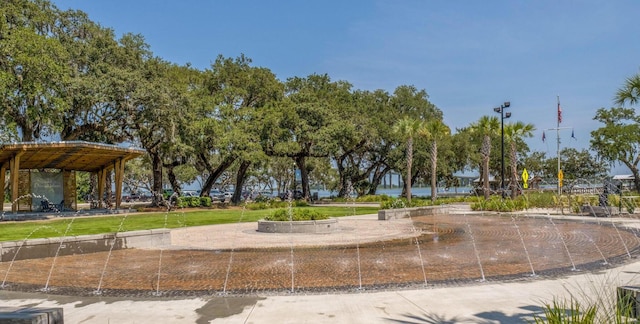 300 Bucksley Ln Unit 102, Charleston, SC 29492 - view of home's community