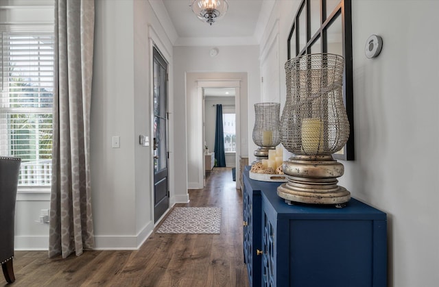 interior space with baseboards, ornamental molding, and dark wood-type flooring