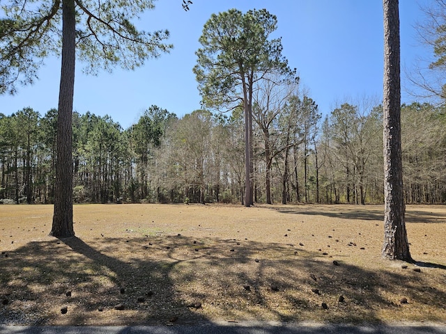 145 Woodlake Dr, Manning SC, 29102 land for sale