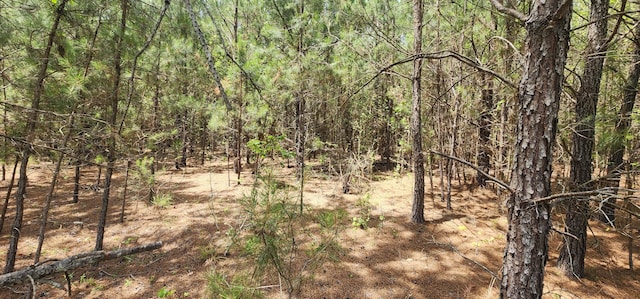 0 Lost Horn Rd, Branchville, SC 29432