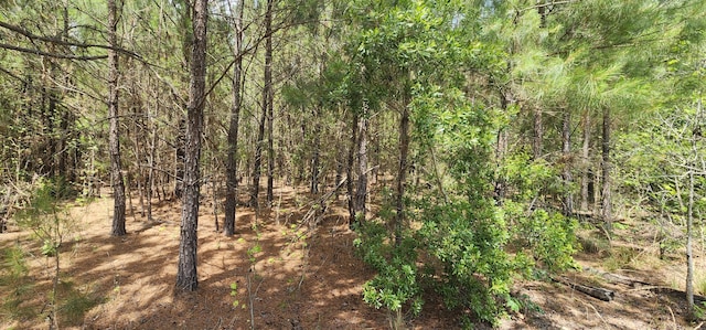 0 Lost Horn Rd, Branchville, SC 29432
