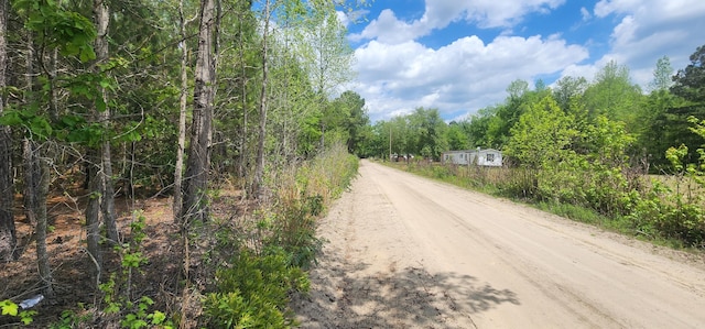 0 Lost Horn Rd, Branchville, SC 29432