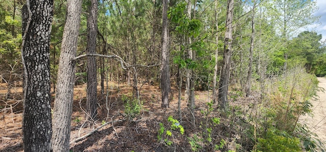 0 Lost Horn Rd, Branchville, SC 29432