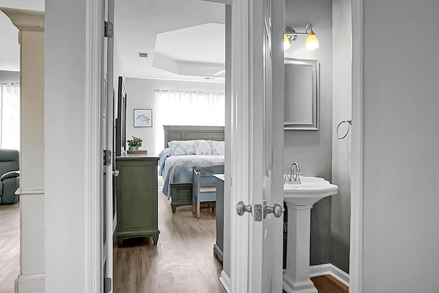 bathroom featuring wood finished floors, a raised ceiling, and a sink