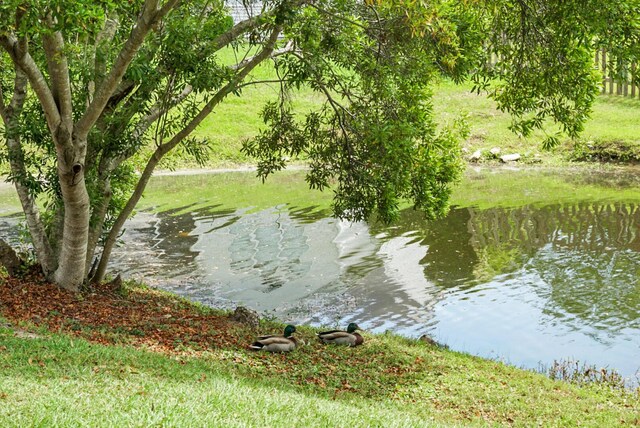 water view