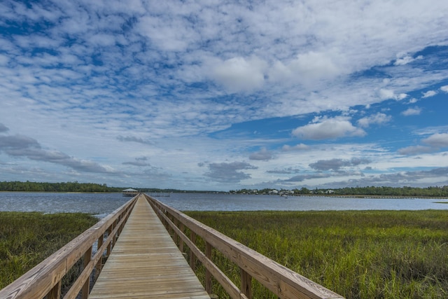 dock area with a water view