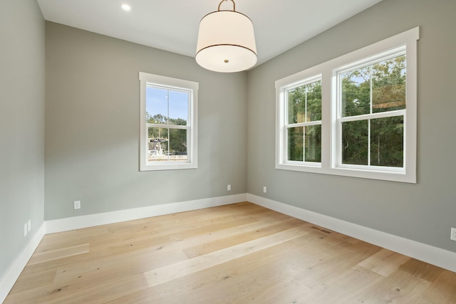 empty room with light hardwood / wood-style floors and a wealth of natural light