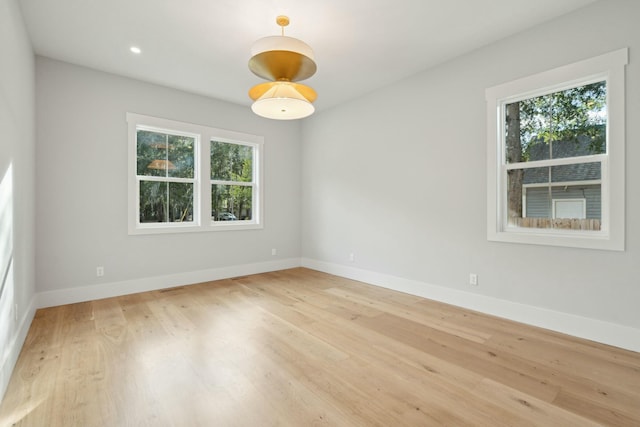 empty room featuring a healthy amount of sunlight and light wood-type flooring