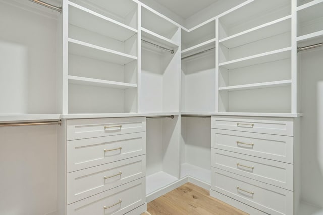 spacious closet with light hardwood / wood-style floors