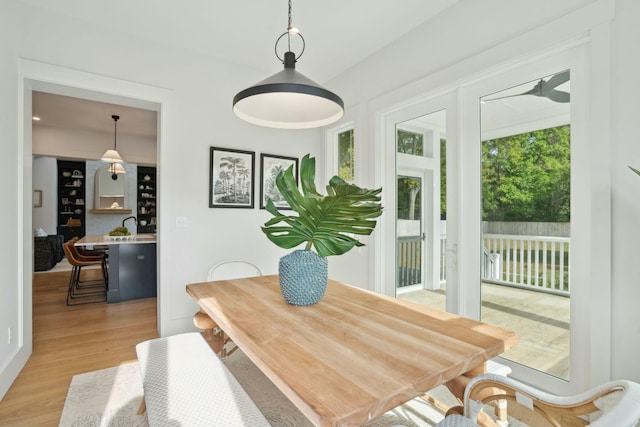 dining space featuring light wood finished floors