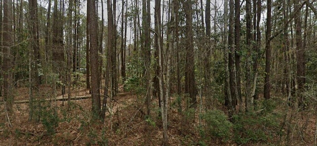 2797 Hilda Dr, Orangeburg, SC 29115