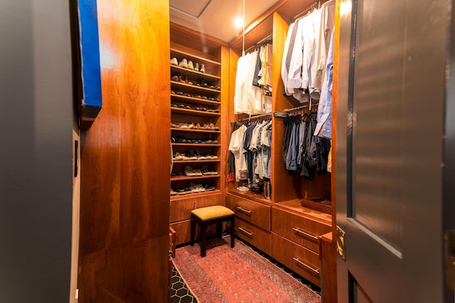 1646 Marsh Harbor Ln, Mount Pleasant, SC 29464 - view of walk in closet