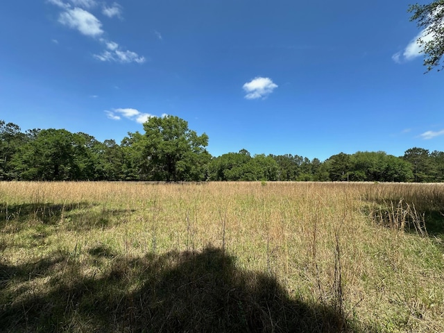 0 Willtown Rd, Hollywood, SC 29449