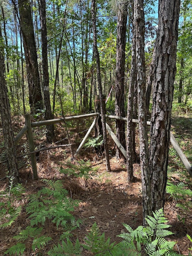 0 Willtown Rd, Hollywood, SC 29449