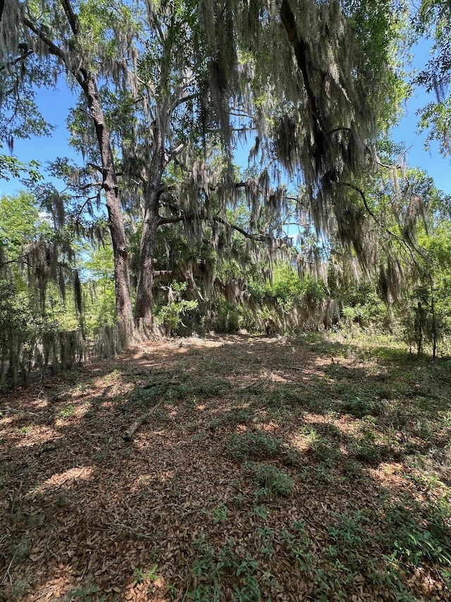 0 Willtown Rd, Hollywood, SC 29449
