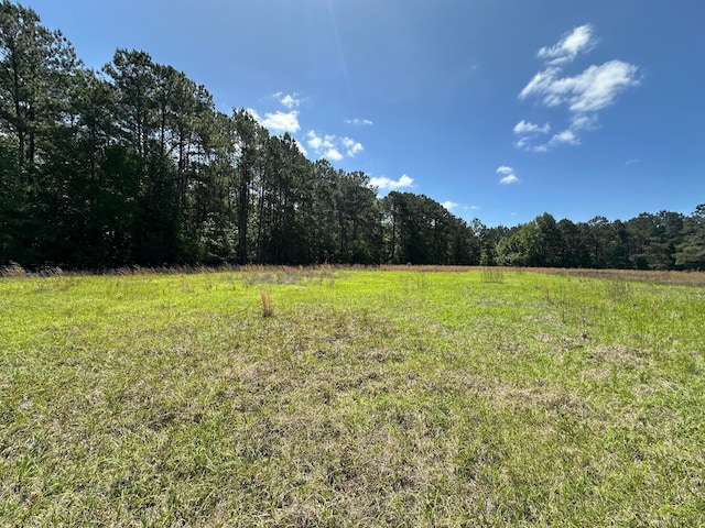 0 Willtown Rd, Hollywood, SC 29449