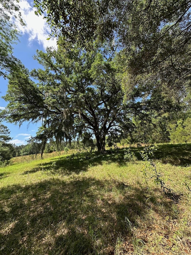 0 Willtown Rd, Hollywood, SC 29449