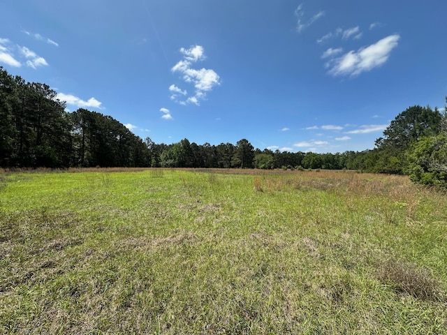 0 Willtown Rd, Hollywood, SC 29449